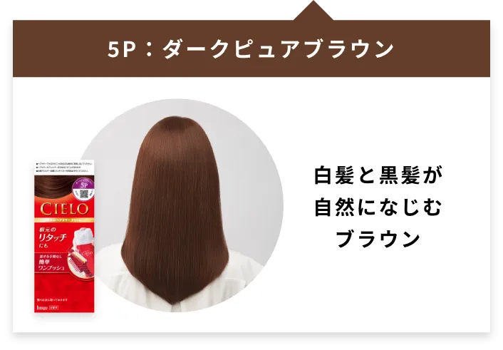 深纯棕色